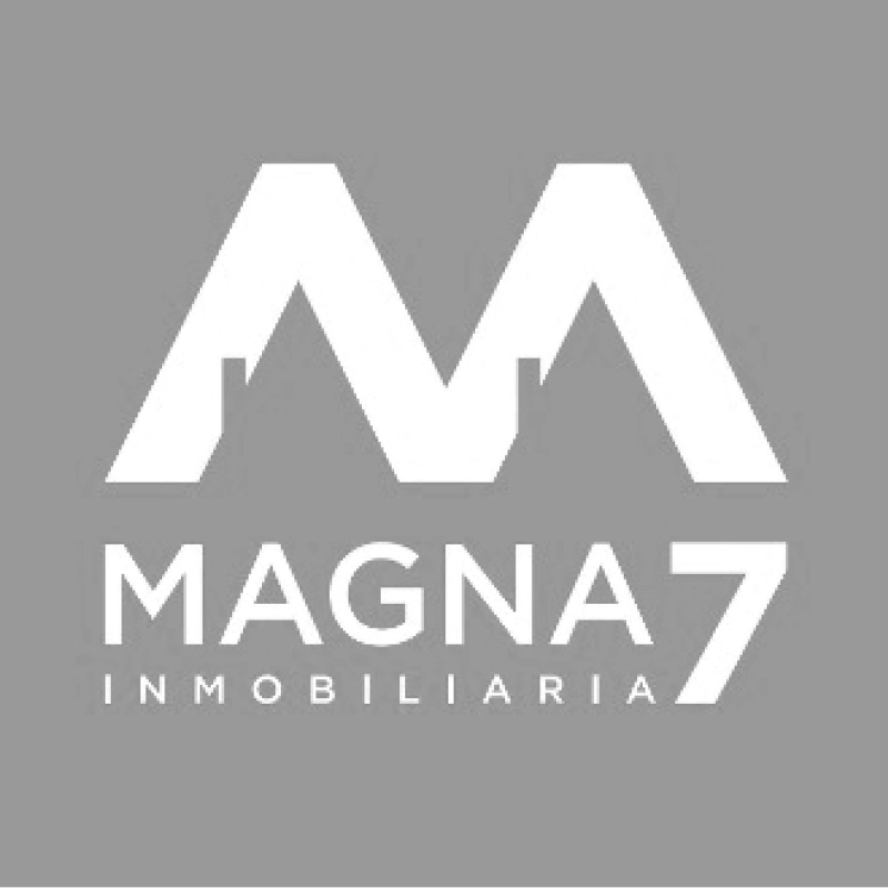magna-7 logo